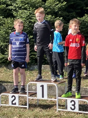 Foto des Albums: Schulcrosslauf