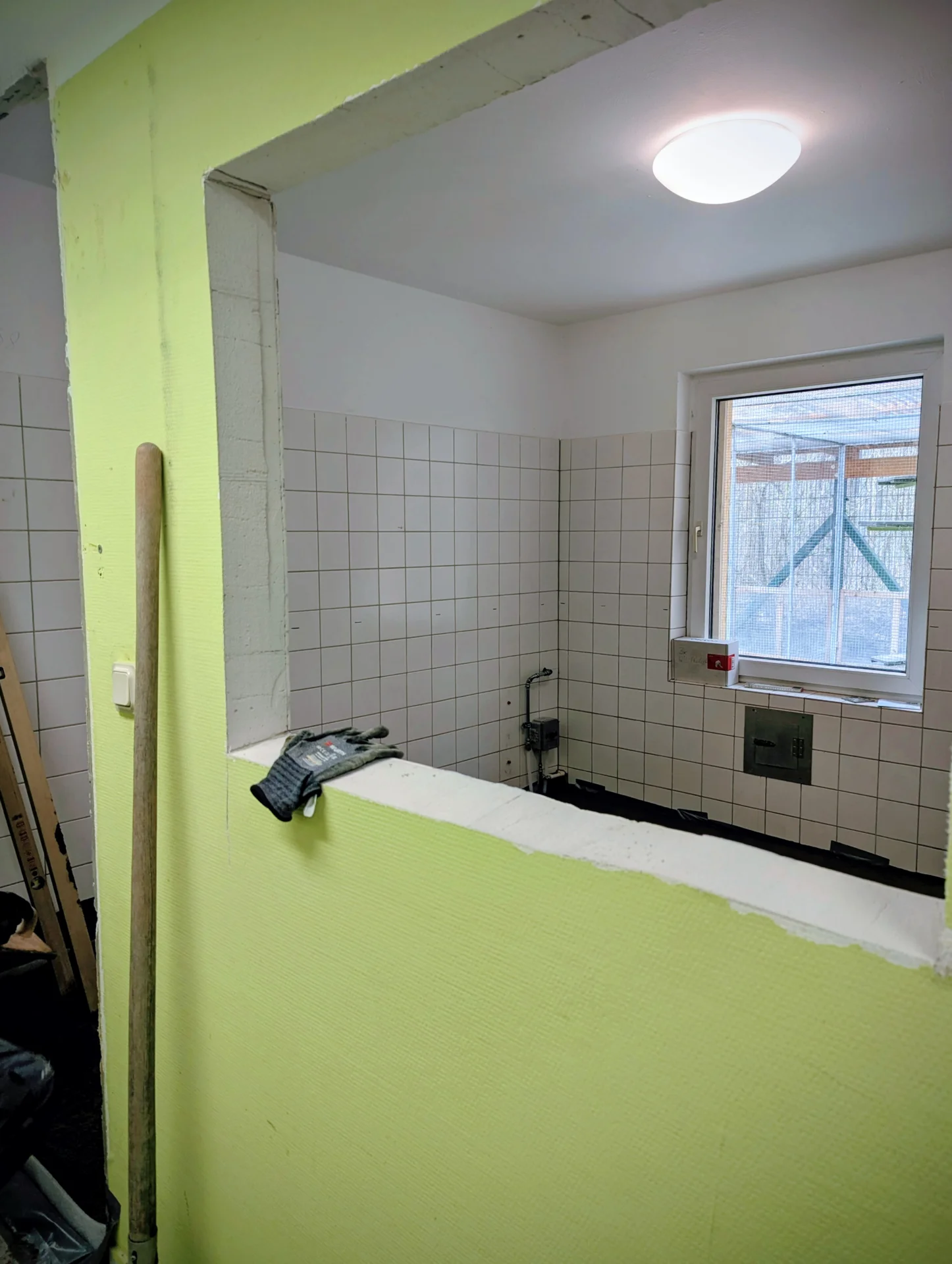 Bild: große Fenster zum Beobachten