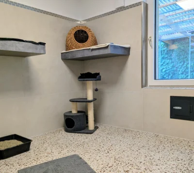Foto des Albums: Sanierung Katzenhaus
