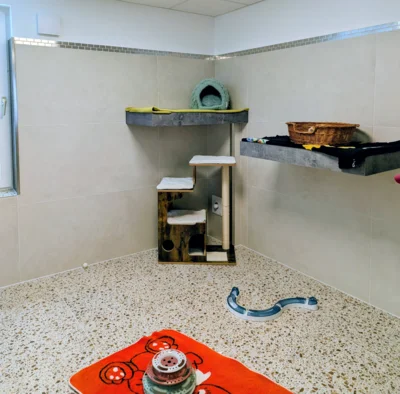 Foto des Albums: Sanierung Katzenhaus