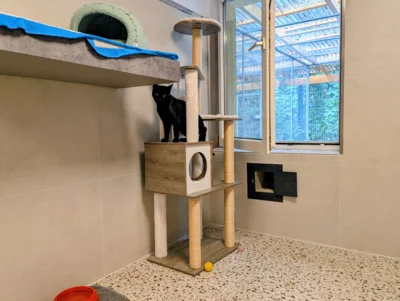 Foto des Albums: Sanierung Katzenhaus