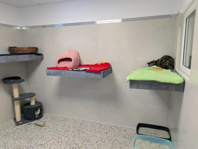 Foto des Albums: Sanierung Katzenhaus