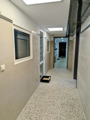 Foto des Albums: Sanierung Katzenhaus