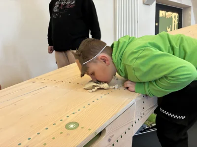 Vorschaubild der Galerie