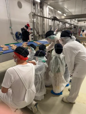 Foto des Albums: Kleine Hände. große Zukunft 2026