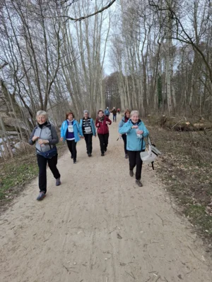 Foto des Albums: 42.Celler Wasa - Lauf 2026