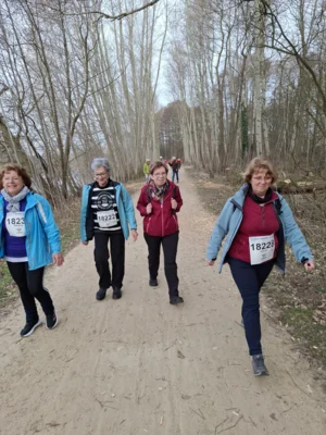 Foto des Albums: 42.Celler Wasa - Lauf 2026