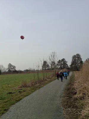 Foto des Albums: 42.Celler Wasa - Lauf 2026