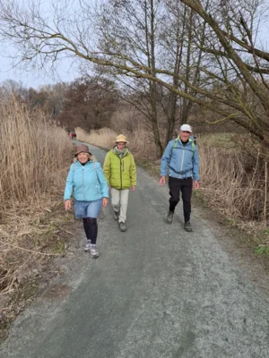 Foto des Albums: 42.Celler Wasa - Lauf 2026