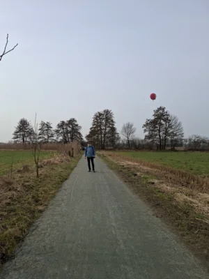 Foto des Albums: 42.Celler Wasa - Lauf 2026