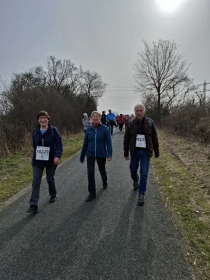 Foto des Albums: 42.Celler Wasa - Lauf 2026