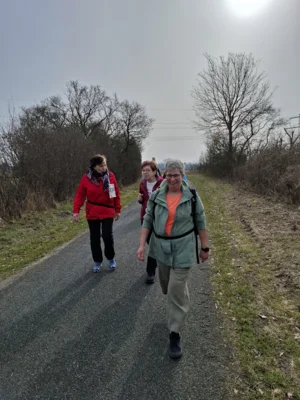 Foto des Albums: 42.Celler Wasa - Lauf 2026