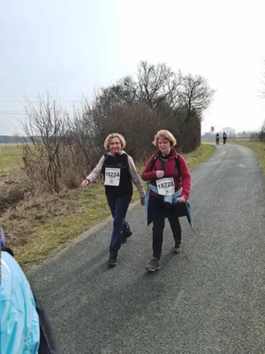 Foto des Albums: 42.Celler Wasa - Lauf 2026
