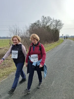 Foto des Albums: 42.Celler Wasa - Lauf 2026