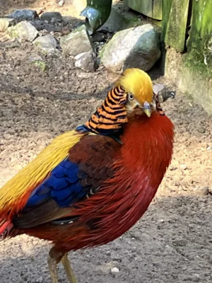 Foto des Albums: Ein tolles Tierparkerlebnis