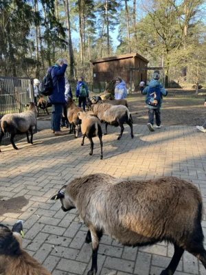 Foto des Albums: Ein tolles Tierparkerlebnis