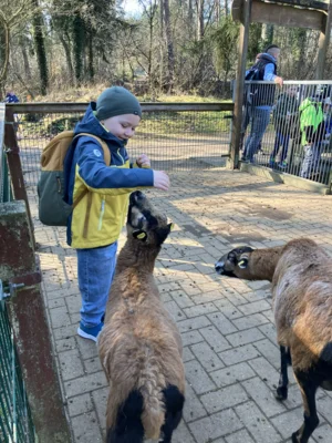 Foto des Albums: Ein tolles Tierparkerlebnis