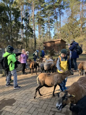 Foto des Albums: Ein tolles Tierparkerlebnis