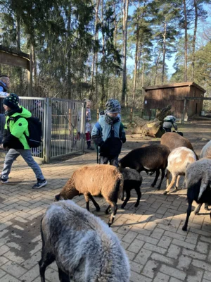 Foto des Albums: Ein tolles Tierparkerlebnis