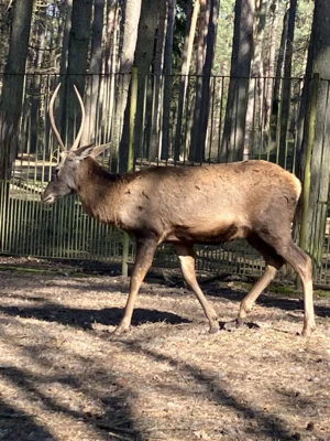 Foto des Albums: Ein tolles Tierparkerlebnis