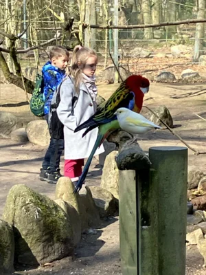 Foto des Albums: Ein tolles Tierparkerlebnis