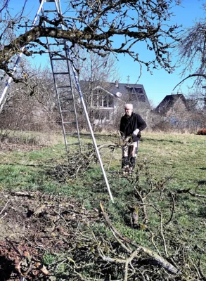 Foto des Albums: Baumschnitt 2026