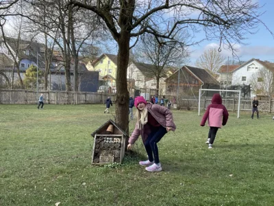 Foto des Albums: Eiersuche