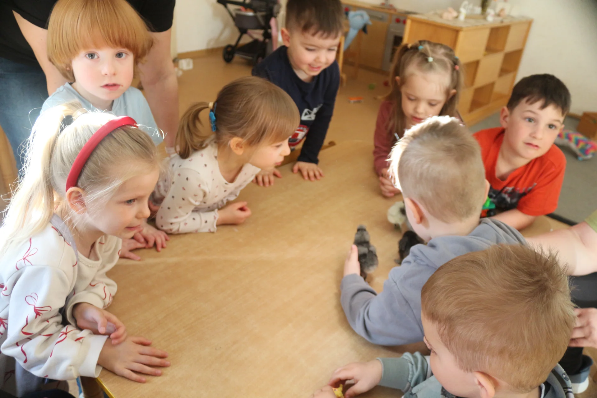 Bild der Galerie