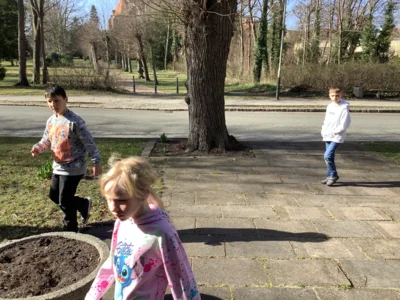 Foto des Albums: Ostergrüße aus der Schule