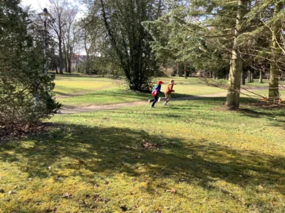 Foto des Albums: Ostergrüße aus der Schule