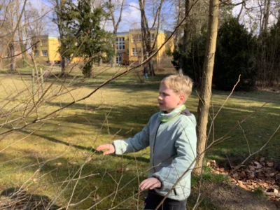 Foto des Albums: Ostergrüße aus der Schule
