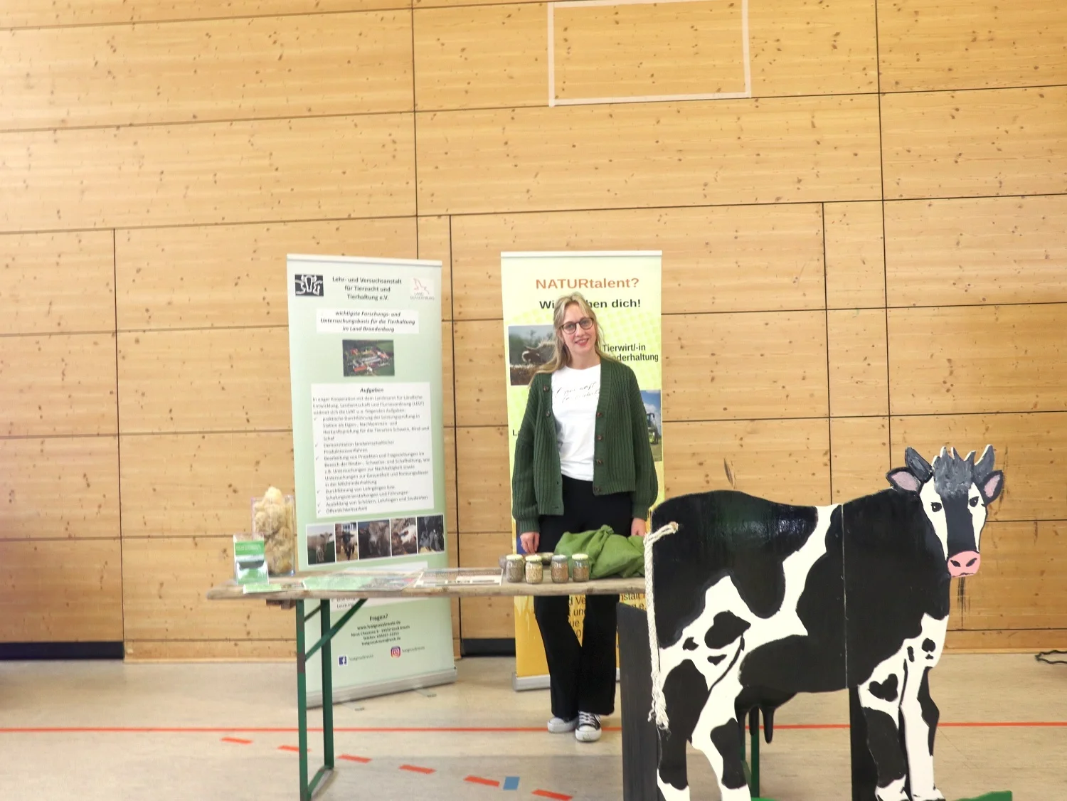 Bild der Galerie