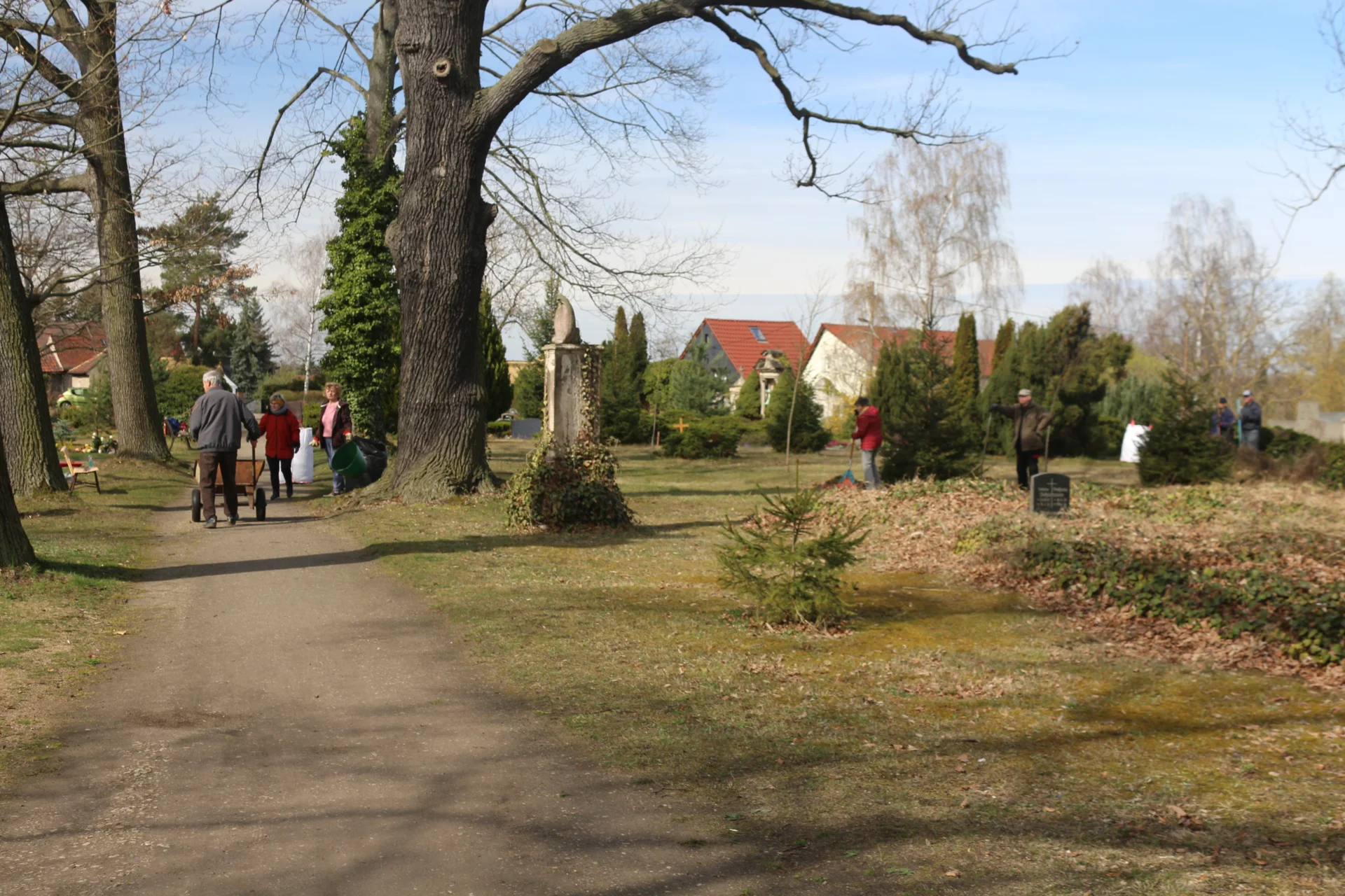 Bild der Galerie