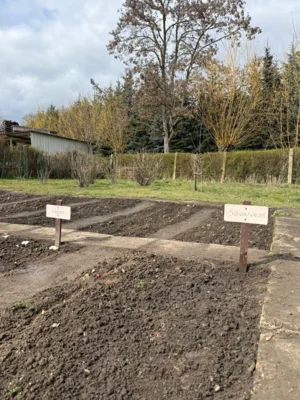 Foto des Albums: Acker - Projekt Schulgarten - Klasse 4