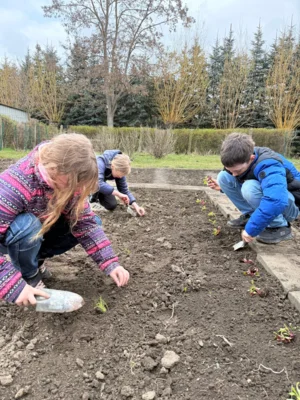 Foto des Albums: Acker - Projekt Schulgarten - Klasse 4
