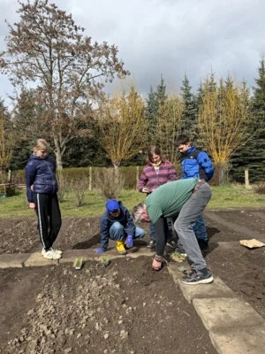 Foto des Albums: Acker - Projekt Schulgarten - Klasse 4