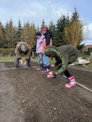 Foto des Albums: Acker - Projekt Schulgarten - Klasse 4