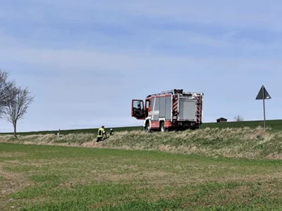 Foto des Albums: Baumpflanzaktion vom 28.03.2026