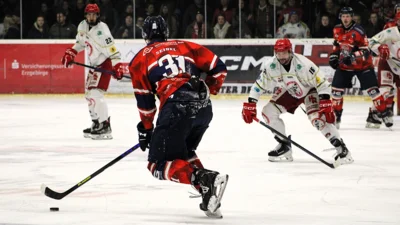 Foto des Albums: Wölfe 04-26