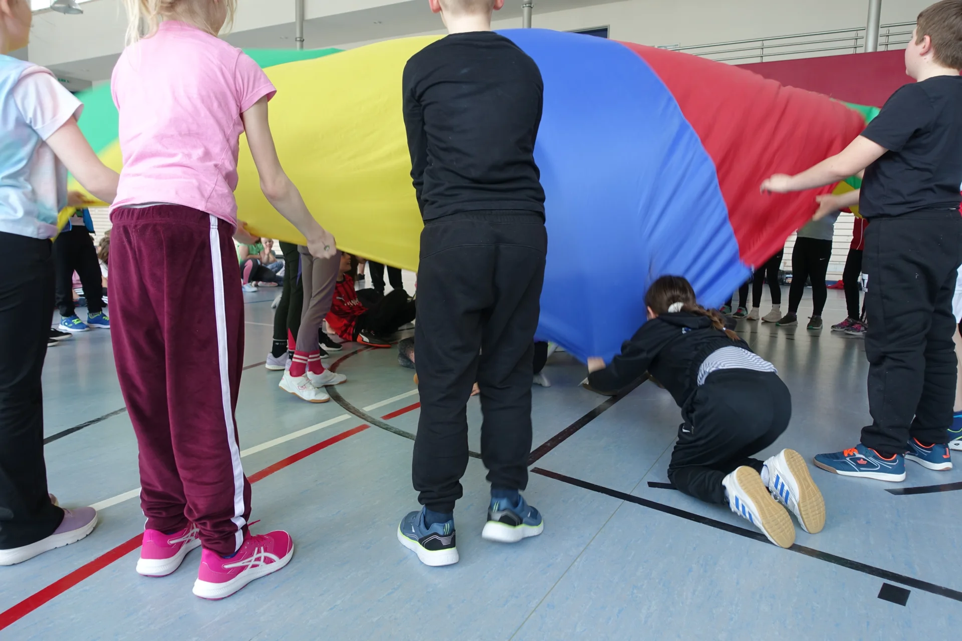 Bild der Galerie