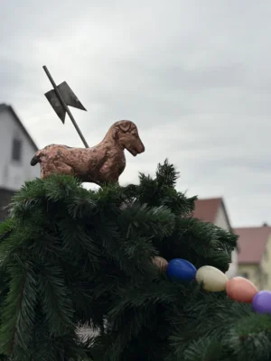 Foto des Albums: Grabfeld räumt auf 2026