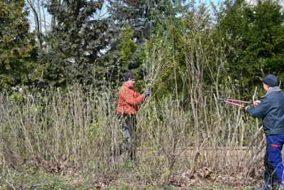 Foto des Albums: Frühjahrsputz in Groß Oßnig 2026