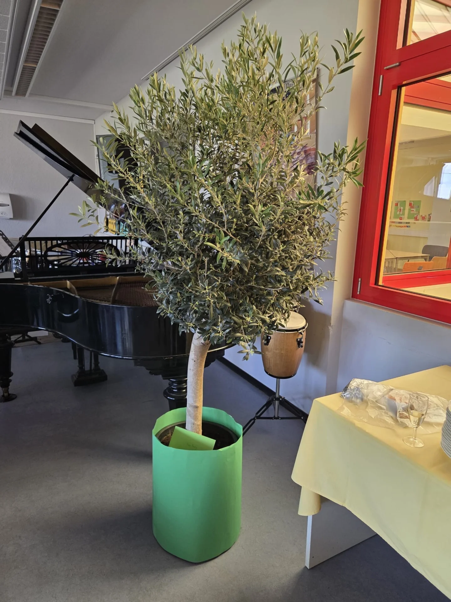 Bild der Galerie