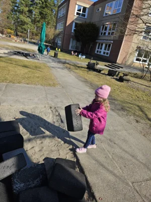 Foto des Albums: Frühjahrsputz 2026