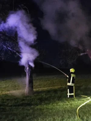 Foto des Albums: Brandeinsatz Wißmar