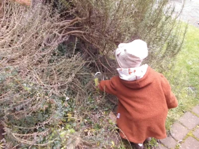 Foto des Albums: Ostern