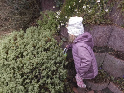Foto des Albums: Ostern