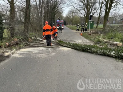 Auch ein zweiter Baum stellte eine Gefahr dar 