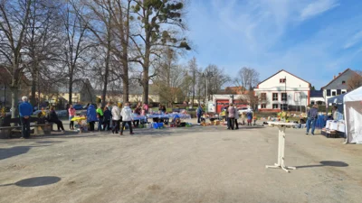 Foto des Albums: Frühlingsbeginn an der Kranichbank am 28. März 2026