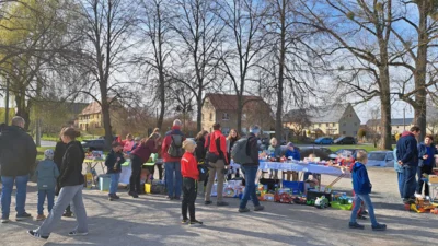 Foto des Albums: Frühlingsbeginn an der Kranichbank am 28. März 2026